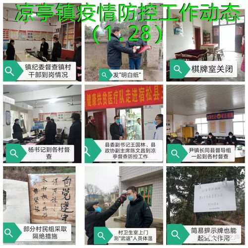 涼亭鎮(zhèn)疫情防控 一張拼圖，一方平安——記涼亭鎮(zhèn)疫情防控工作動態(tài)網(wǎng)頁設(shè)計(jì)